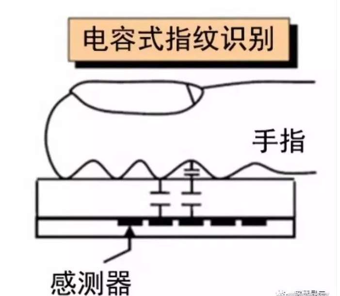 電容式指紋識別