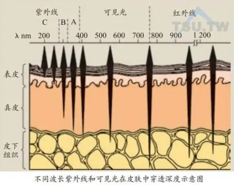 激光美容波長(zhǎng)對(duì)皮膚損傷最小