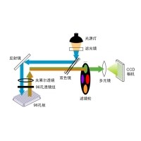 什么是熒光定量PCR、數(shù)字PCR？